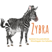 Logo ZYBRA