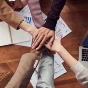 cohésion d’équipe Petite cohésion d'équipe Petite